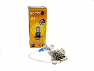 H3      12V 55W PK22s                                          BOCXOD