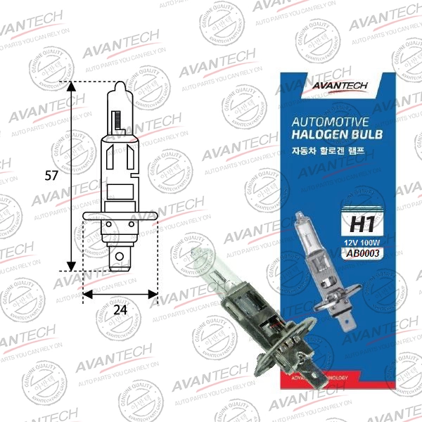 H1      12V 100W P14.5s                                       AVANTECH