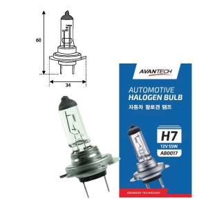 H7      12V 55W PX26d                                           AVANTECH